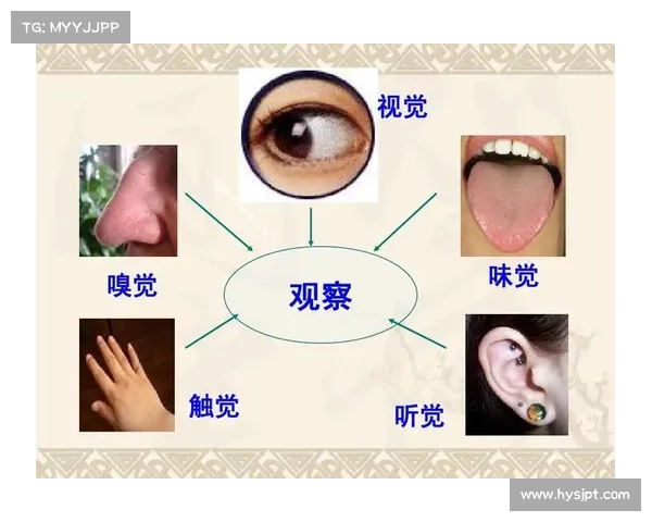 失明者如何通过触觉嗅觉听觉等感知潜能重塑世界认知的五大秘密 失明者如何通过触觉嗅觉听觉等感知潜能重塑世界认知的五大秘密
