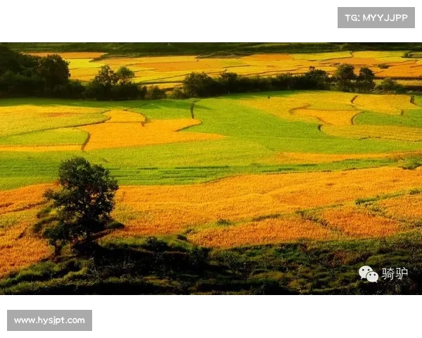 梦幻新诛仙十大绝美风景盘点 穿越仙界的唯美画卷与奇幻景色